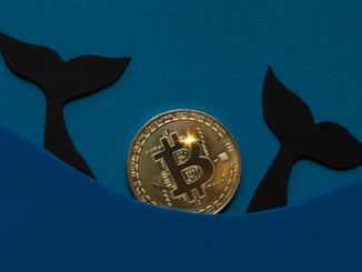 ‘Millionaire’ Bitcoin Whales Accumulates Extra 90,000 BTC