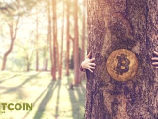 Bitcoin Institutions For The Bitcoin Age