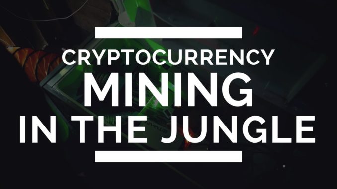 Cryptocurrency Mining in the Jungle