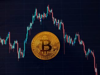 Bitcoin Fails Economics 101 As World Markets Quake