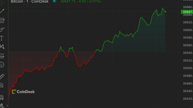 Bitcoin (BTC) Gains as Trading Volume Surges