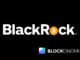 BlackRock's BUIDL Fund: $7 Million in Dividends Since March Launch