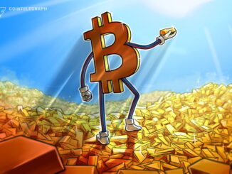 How do they stack up for investors?
