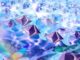 Ether ETFs Log Second Week of Outflows as Bitcoin ETF Inflows Surge