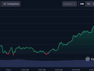 Zcash Leads Privacy Token Rally as Market Cap Surges